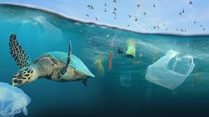 Plastik schwimmt im meer, verstopft strände und die mägen von tieren. Im Plastik Versunken Geo Television