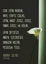 A legfontosabb, amit egy apa tehet a gyermekeiért, hogy szereti az anyjukat. Nadanyi Zoltan Idezet Mothers Day Quotes Some Good Quotes Positive Life