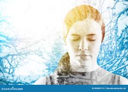 3,439 Angle Low Pine Tree Stock Photos