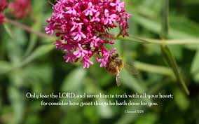 If you are looking for bible verses wallpapers in english you have come to the right place. Scripture Wallpapers Download Free Pixelstalk Net