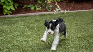 Laying artificial turf on concrete pavers is a simple, yet effective way to give your yard a fresh, modern look. Artificial Grass Is A Horror Financial Times