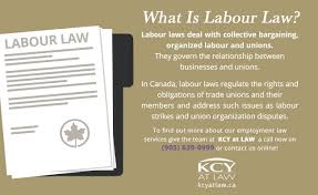 Employment Law Vs Labour Law A Brief Explainer Kcy At Law