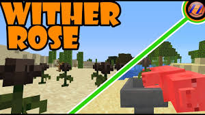 Once killed, they drop an artificial wither rose and unless spawned wither roses, these items. How To Find The Wither Rose Minecraft 1 14 Snapshot Youtube