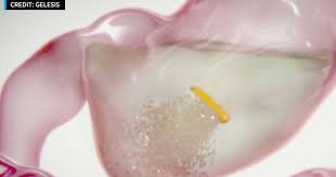 Image result for Plenity