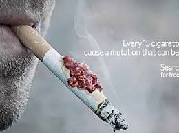 Image result for marche tabacco da rollare