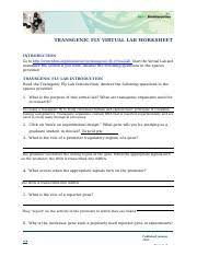 Dna mutations practice worksheet answer key adriaticatoursrl from mutations worksheet answers , source: Transgenic Fly Lab Worksheet Student 1 Converted Docx Virtual Lab The Transgenic Fly Virtual Lab Student Worksheet Transgenic Fly Virtual Lab Course Hero