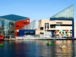 Baltimore National Aquarium Daily Escape Travel Channel Visit Usa Baltimore Amazing Architecture