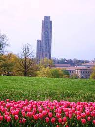 February 18, 2016 by i'm from driftwood leave a comment. Pin On Where I M From