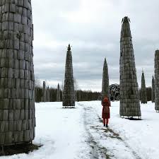 Olga Ray (@olgarayray) • Instagram photos and videos