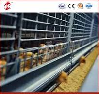Bestchickencage China Blue Chicken Coop Manufacturing H Frame Automatic  Boriler Cages OEM Customized Silver/White/Yellow Wooden Large Chicken Coop