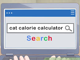 How To Count Calories In Your Cats Food 11 Steps With
