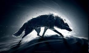 You can see a sample here. Wolf Desktop Wallpapers On Wallpaperdog