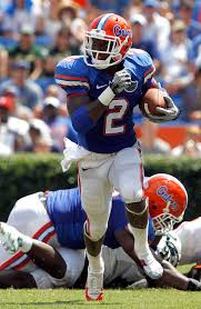 florida football why gators will bounce back against