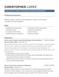20+ best senior director resumes