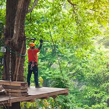 Shop our wide selection of backyard ziplines! Backyard Zip Line Your Complete Guide Book To Zip Lining Accessories Stuffoholics