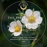 Gemini New Strawberry Moon
