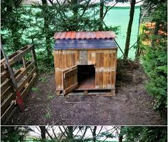 Besides that, it has several. Chicken Coop Colors Ideas Cheap And Easy Chicken Coop