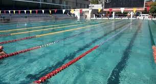 Bazin 50 M Archives U Cluj 1919