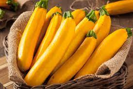 But because zucchini plants work so hard to produce fruits, it's only natural that the plants' production will slow over the growing season. Golden Delight Zucchini Premium Garden Seeds Hoss Tools