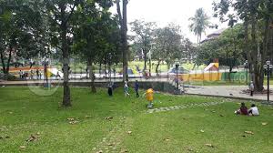 Kini, kamu bisa tahu informasi tanaman yang kamu temui di jalur hijau kota! Segera Diresmikan Dinas Pertamanan Cari Akal Hilangkan Momok Seram Di Cibinong Situ Plaza Tribunnews Bogor