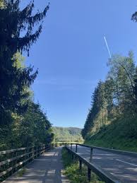 Image result for Vernonia accommodata