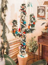 When i repotted my plants i replaced my spiders, aeschynanthus, cot, haworthia, pineapple, and wandering jew's soil all with pro mix cactus soil due to the drainage ability and aireation. Diy Cactus Christmas Tree
