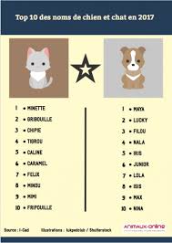 Chat, liste, nom, chaton, 2015, nom pour chat, nom de chat femelle. Top 10 Des Noms Les Plus Donnes Aux Chats Et Chiens En 2017