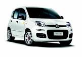 FIAT-PANDA