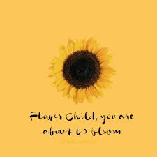 Sunflower Quote From Brea Y Brea Ayanna On Instagram 2018 2019 Sunflower Quotes Short Instagram Captions Instagram Quotes Captions