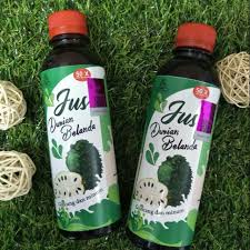 Buah durian belanda juga kaya dengan vitamin c yang merupakan antioksidan yang sangat baik. Jus Durian Belanda By Pb Shopee Malaysia