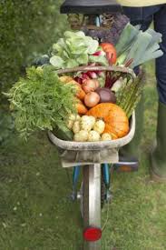 Maybe you would like to learn more about one of these? What Vegetables Can Preen Be Used On In A Garden