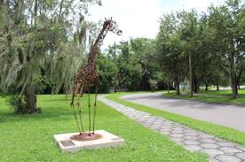Check spelling or type a new query. The Humble Beginnings Of The Jacksonville Zoo Gardens Jacksonville Magazine