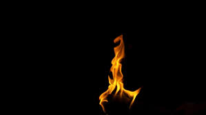 A collection of the top 89 free fire wallpapers and backgrounds available for download for free. Burning Fire Bonfire Closeup Of Stock Footage Video 100 Royalty Free 1034223875 Shutterstock