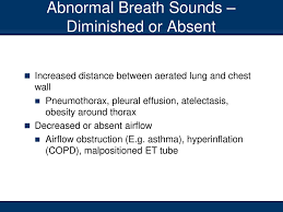 Auscultation Listening To Breath Sounds With A Stethoscope Ppt Download