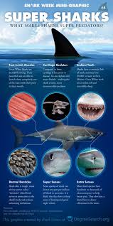Super Sharks What Makes Sharks Super Predators Great Mentor Text For Close Ups With Captions Nonfiction Text Features Shark Facts Shark Week Shark