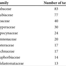 Image result for Dewevrella cochliostema