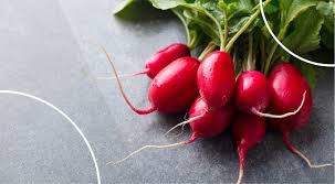 Radish Benefits for Health and Weight Loss - Kompanion