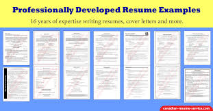 professional resume examples entry to