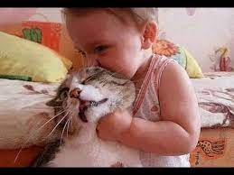 Adorable babies playing with dogs and cats. Funny Cats And Babies Playing Together Cute Babies And Pets Compilation Youtube