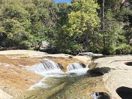 Check spelling or type a new query. Willow Creek Trail Bass Lake 2021 All You Need To Know Before You Go With Photos Tripadvisor