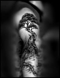 50 Tree Tattoo Designs For Men And Women Tree Tattoo Men Tree Tattoo Designs Picture Tattoos