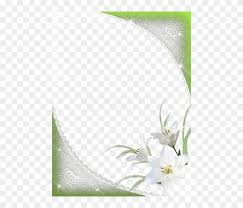 Get your stunning green background perfect for your device. Free Png Nice Green Png Frame With White Flowers Background Flower White Frame Png Transparent Png 480x640 6261471 Pngfind