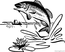 If you know how to fish, you know how to run a business. Bass Jumping Out Of Water Coloring Page Coloringall