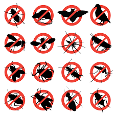 At pest pro exterminating, we like to think of ourselves as the exterminator long island can go to for all its pest needs. Bomar Pest Control Houston Residential And Commercial Pest Control