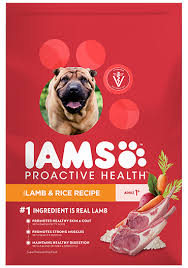 proactive health adult large breed dog food iams