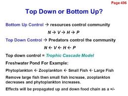 Investment management firms and investment managers can focus an entire investment strategy on. What Limits The Size Of A Food Chain By Jason And Joel Ppt Download