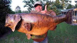 This channel is all about fishing! The Biggest Bass I Have Ever Caught Youtube