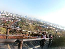 在五个世界杯公园中 天空公园是离天空最近的一个 因而得其名 291级阶梯 Seoulkorea 韩国首尔 하는공원 Haneulpark View 风景宜人 天空公园 291阶梯 最靠近天空的公园