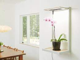 Light emitting diode (led) bulbs are currently the most energy efficient of all types of light bulbs. Plant Grow Lights How To Choose The Best Indoor Lighting For Plants Hgtv