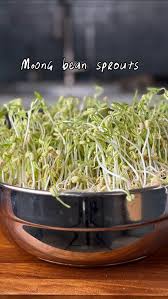 Moong bean sprouts / mung bean sprouts! , Ever since I learned how to make  these, I do it every 2 weeks and I’m obsessed! Specially since sprouting  increases the nutrients in the lentils., - first ...
